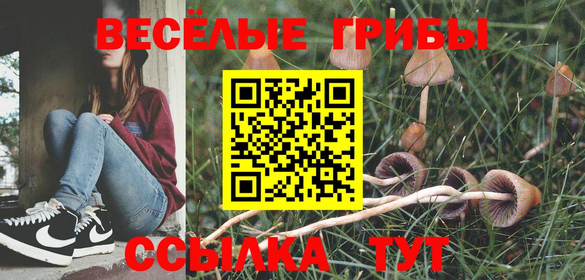 Галлюциногенные грибы ЛСД  Псилоцибиновые грибы мицелий  Темрюк  как найти закладки  Вход с VPN 
